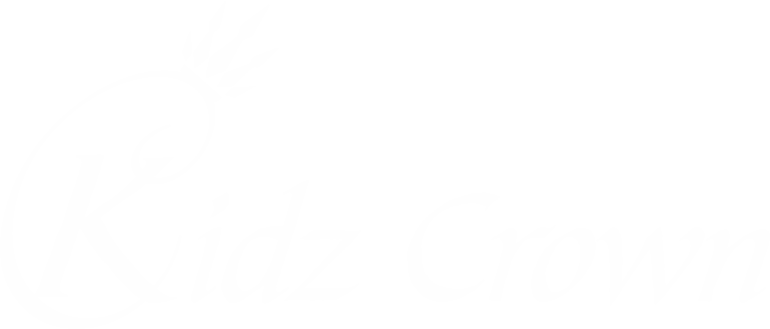 Kidz Crown Store