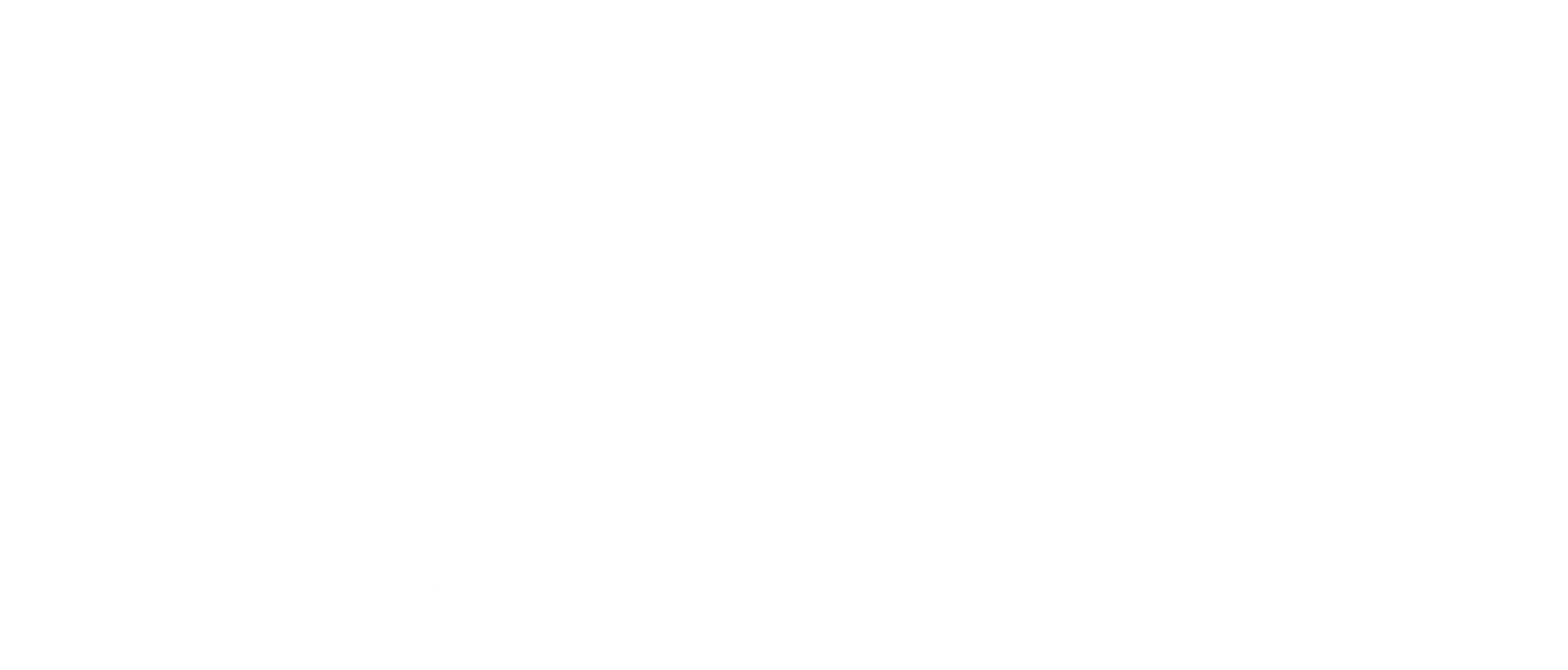 Kidz Crown Store